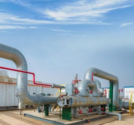 Fuel & Gas management