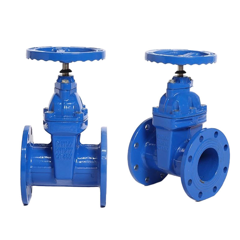 DN100 Resilient Seated Gate Valve